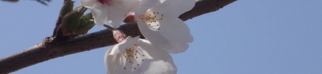 otamisan's header image
