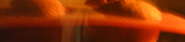 ぶたゾウ's header image