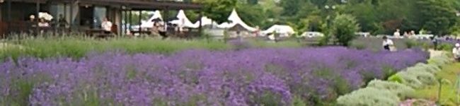 ❤ちーすけ❤'s header image