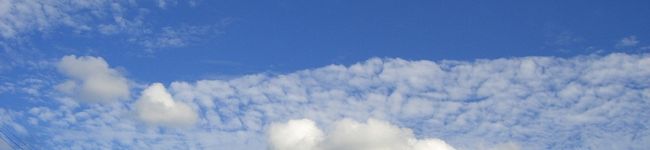 annecat's header image