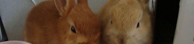 lovemanon's header image