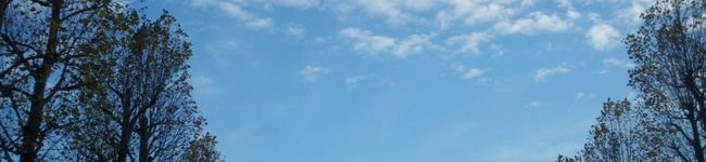 yuppn's header image