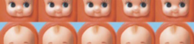 ぽんちもじゃ's header image