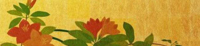 旬の料理yuki's header image