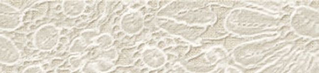 akitabi's header image