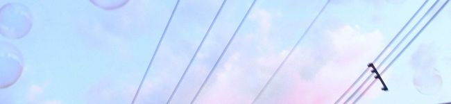 さーばるきゃっと's header image