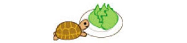 あやりん♪'s header image