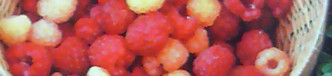 Ｃｈｉｎｏｃｏ's header image