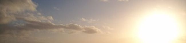 Daisy大好き's header image