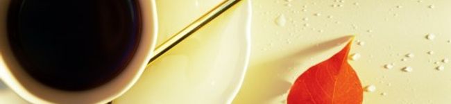 Casamia's header image