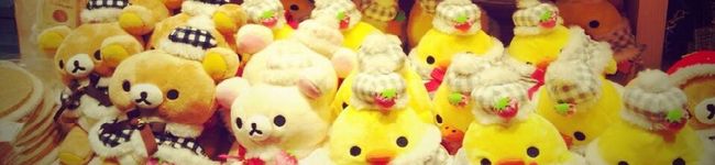 rie_cook's header image