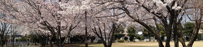 uniコロネ's header image