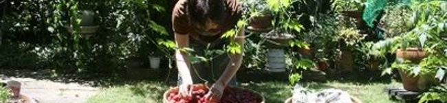 erachan's header image