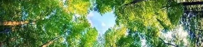 佐藤太吉's header image