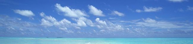 頑張る豚's header image