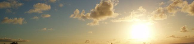 momomi0820's header image