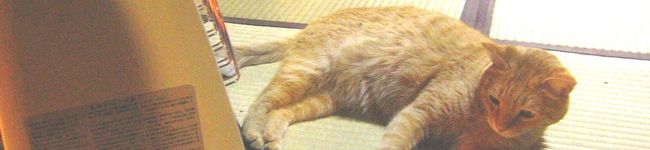 酢ポン酢's header image