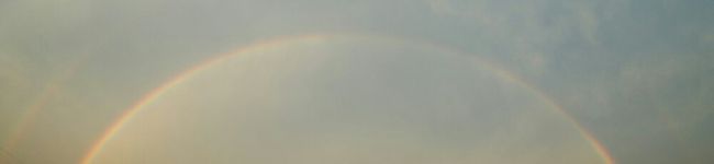 punpunmama's header image