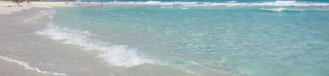 DosChinas's header image