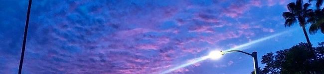 なみだめ's header image