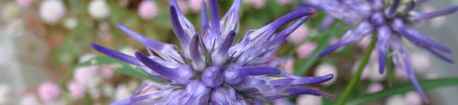 keiko97's header image