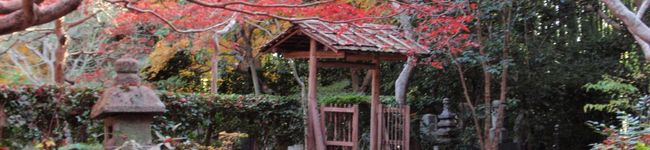 め～にゃん's header image