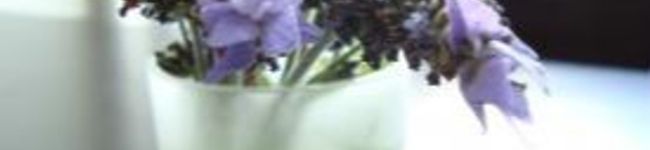 嫁カフェ's header image