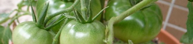 doubleA's header image