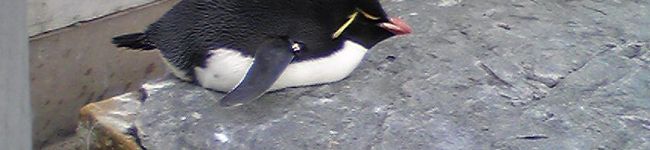 mamamix's header image