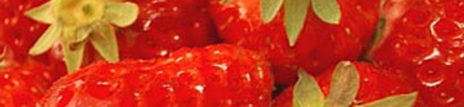 ラタママ's header image