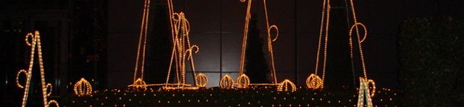 coccoya's header image