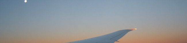 maringdoll's header image