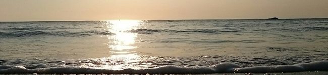 marimi5's header image