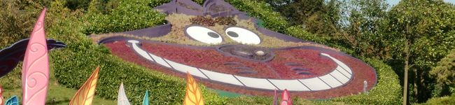 ソアりん's header image