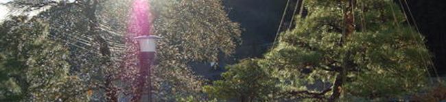 koyuママ's header image