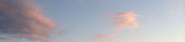鶏あたま's header image