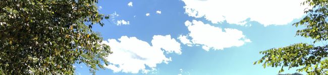 べじひな's header image