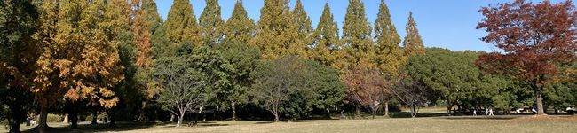 MandT's header image