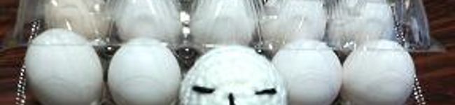 ryou314's header image