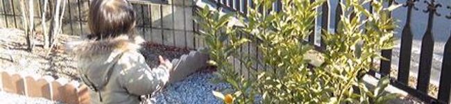 ｒａｍｏｎａ's header image