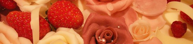 ピューちゃん's header image