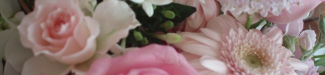 のんののんの's header image