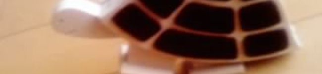 chiyaco's header image