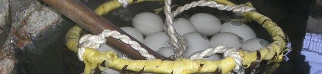 tae227's header image