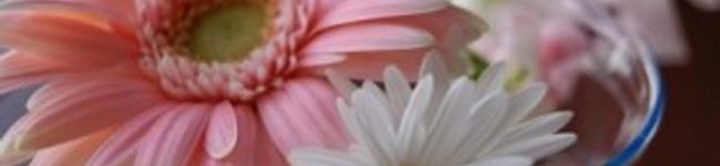 H＊Y's header image