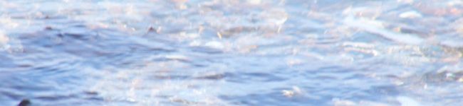 goutdmaman's header image