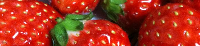 beancurd's header image