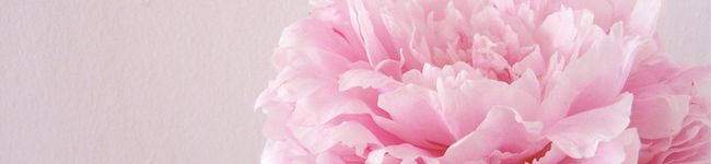 pink2pink's header image