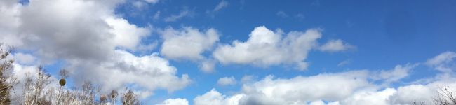 田舎のハイボール's header image