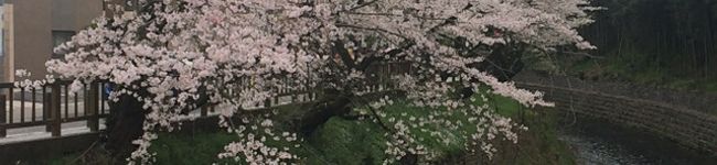 えいぽ's header image